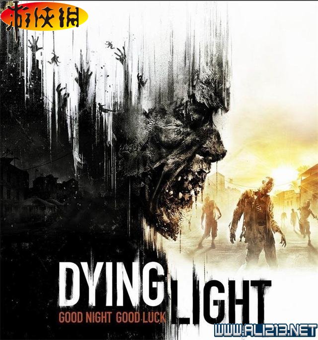 《消逝的光芒》图文攻略详细解析 全主支线任务 全剧情 全收集品 系统