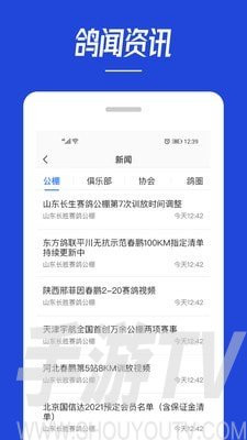 青鴿網
