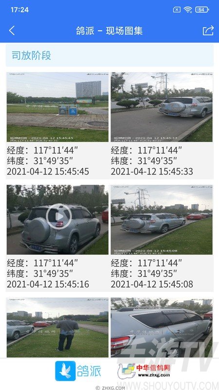 鸽派监赛版