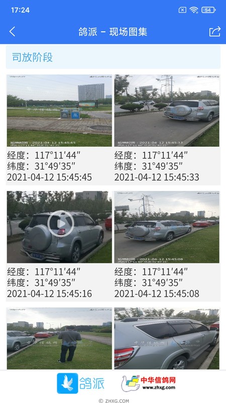 鸽派监赛版截图