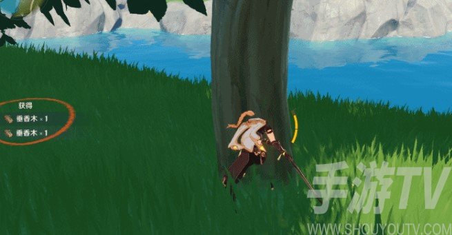 原神杉木位置介绍
