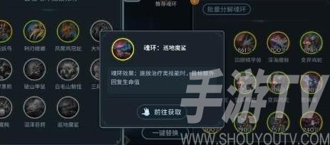 斗罗大陆斗神再临魂环搭配攻略 魂环搭配选择推荐[多图]图片3