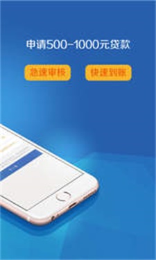 闪银新米贷截图