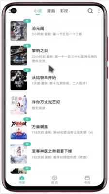 蜜蜂追书截图