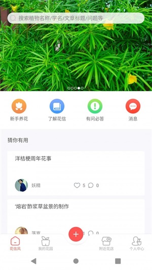 花信截图