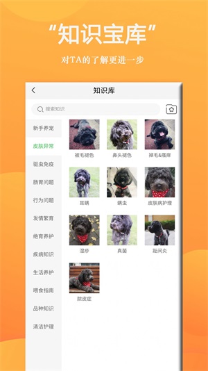 狗狗Bing商城截图