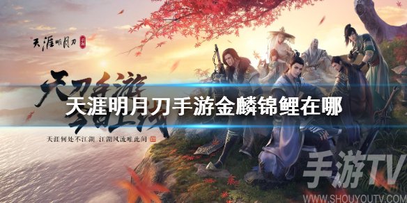 天涯明月刀手游金麟锦鲤位置在哪 天刀手游金麟锦鲤怎么抓