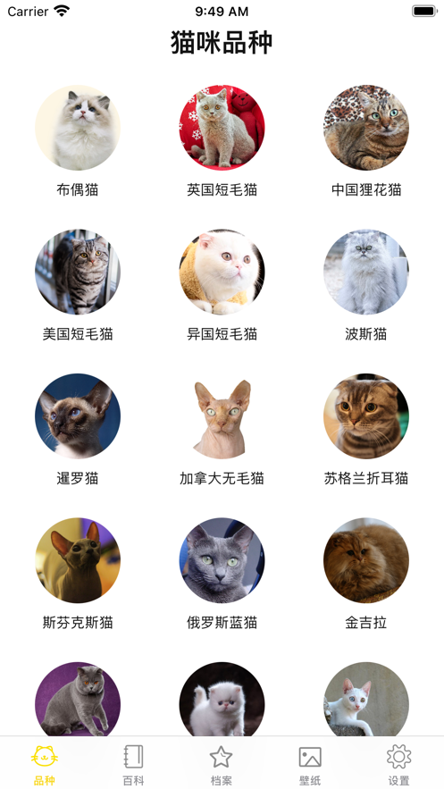 猫猫生活圈截图