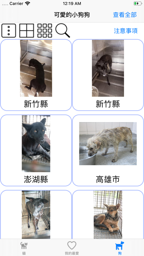 動物想家