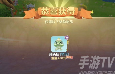 摩尔庄园手游蒜头蛙哪里有 蒜头蛙怎么获取