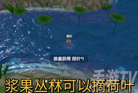 摩尔庄园手游白米粽食谱配方是什么 白米粽怎么做