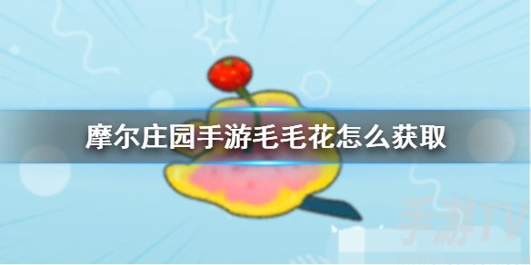 摩尔庄园手游毛毛花属性 摩尔庄园毛毛花怎么获得