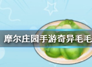 摩尔庄园奇异毛毛豆做法 摩尔庄园手游奇异毛毛豆食谱配方介绍