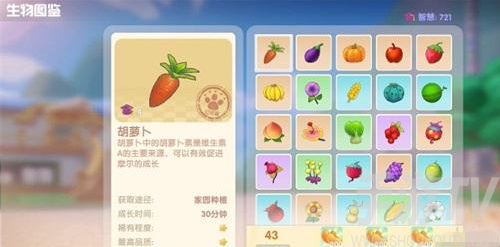 摩尔庄园手游智慧值提升方法 智慧值提高攻略