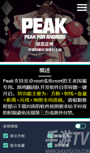 Peak王者荣耀