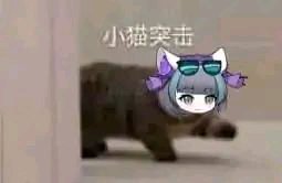 碧蓝航线邓丽郡是什么梗 柴郡邓丽郡皮肤是什么意思
