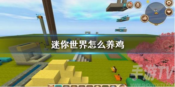 迷你世界怎么养鸡 迷你世界养鸡方法