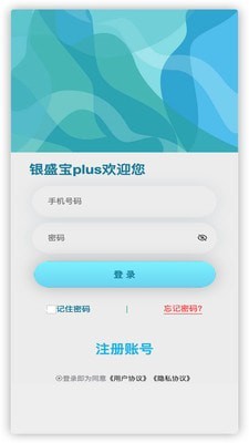 银盛宝plus截图