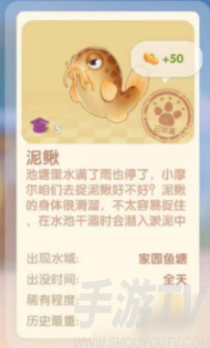摩尔庄园手游泥鳅在哪钓 摩尔庄园怎么钓泥鳅