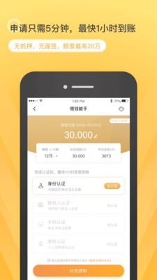 急用先锋贷款app极速版截图