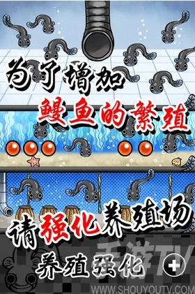 鳗鱼养殖场