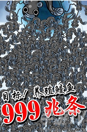 鳗鱼养殖场