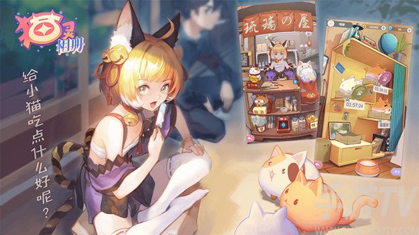 猫灵相册2021最新最新兑换码 猫灵相册兑换码大全