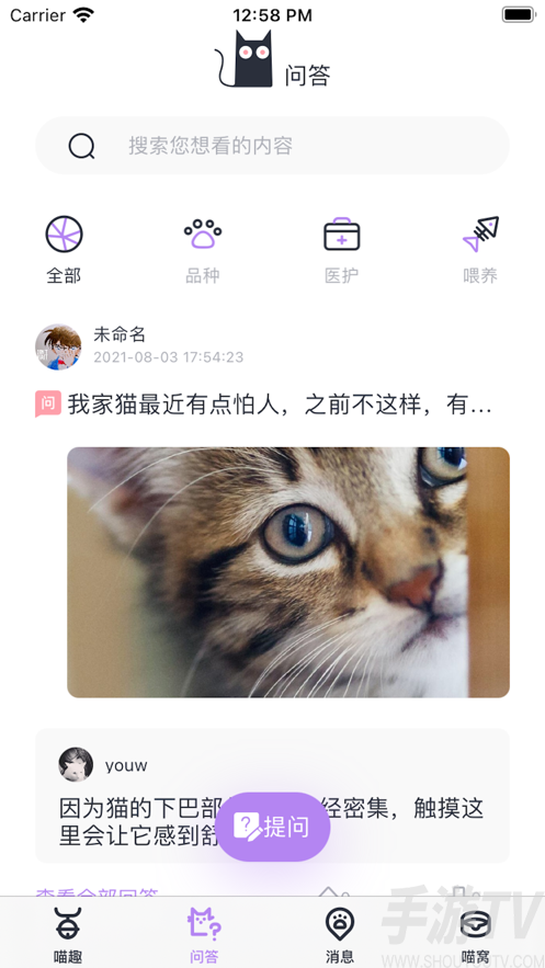貓寵