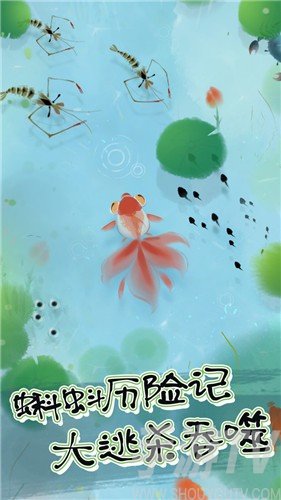 蝌蚪曆險記