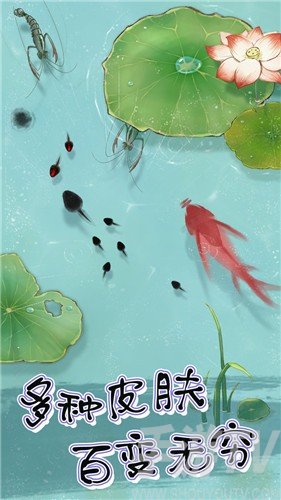 蝌蚪曆險記