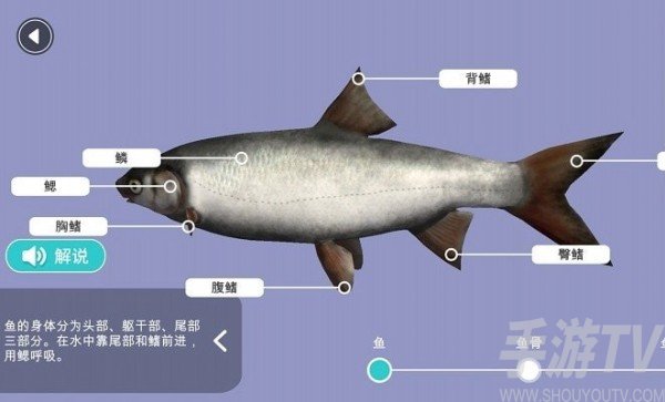 小学科学XR教室