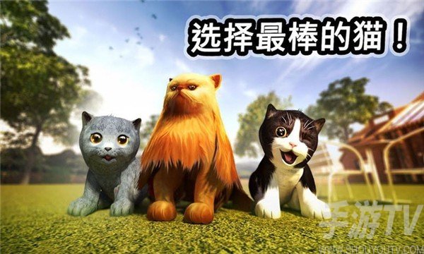 迷你小猫城市生存