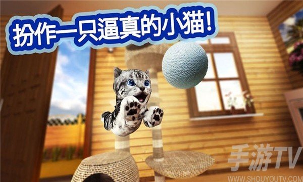 迷你小猫城市生存