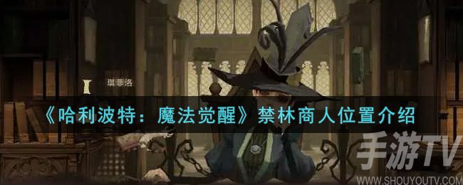 哈利波特魔法觉醒禁林商人位置到底怎么找 禁林商人位置在哪里