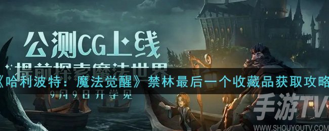 哈利波特魔法觉醒禁林最后一个收藏品如何获得 收藏品获取攻略