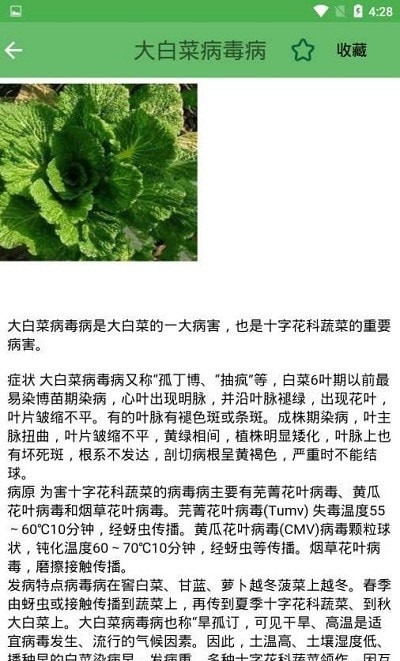 农业病虫害专家诊断