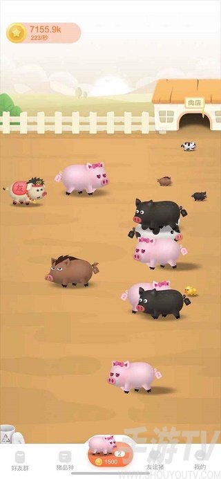 開心碰碰豬