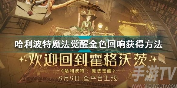 哈利波特魔法觉醒金色回响礼包兑 哈利波特魔法觉醒金色回响获取途径