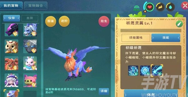 创造与魔法祈愿灵翼技能介绍大全 祈愿灵翼技能资质详解