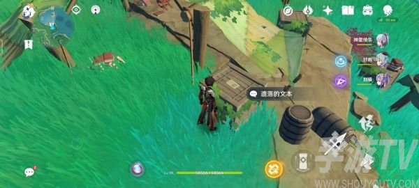 原神遗落的文本具体位置 遗落的文本宝箱位置在哪