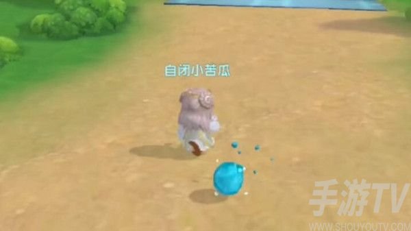 摩尔庄园宠物捕捉技巧有哪些 宠物捕捉位置一览