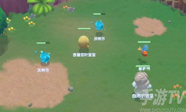 摩尔庄园宠物捕捉技巧有哪些 宠物捕捉位置一览