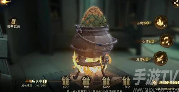哈利波特魔法觉醒寝室龙蛋怎么玩 寝室龙蛋玩法是什么