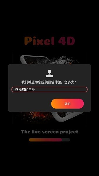 Pixel 4D截图