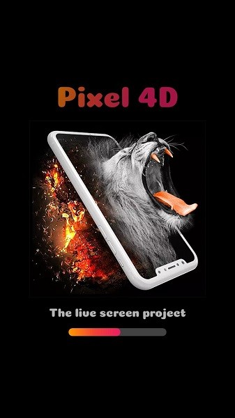 Pixel 4D截图