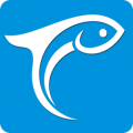 鳳台小魚網
