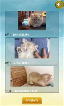 猫的一生重启模拟器截图