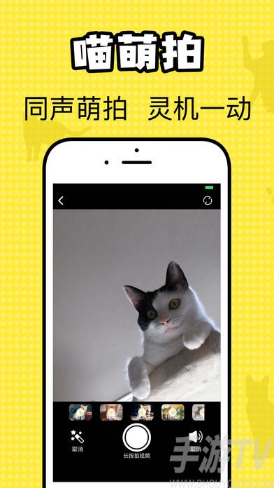 猫咪翻译官app免费版下载-猫咪翻译官中文最新版下载v1.0