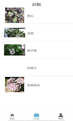 桃桃识植物截图