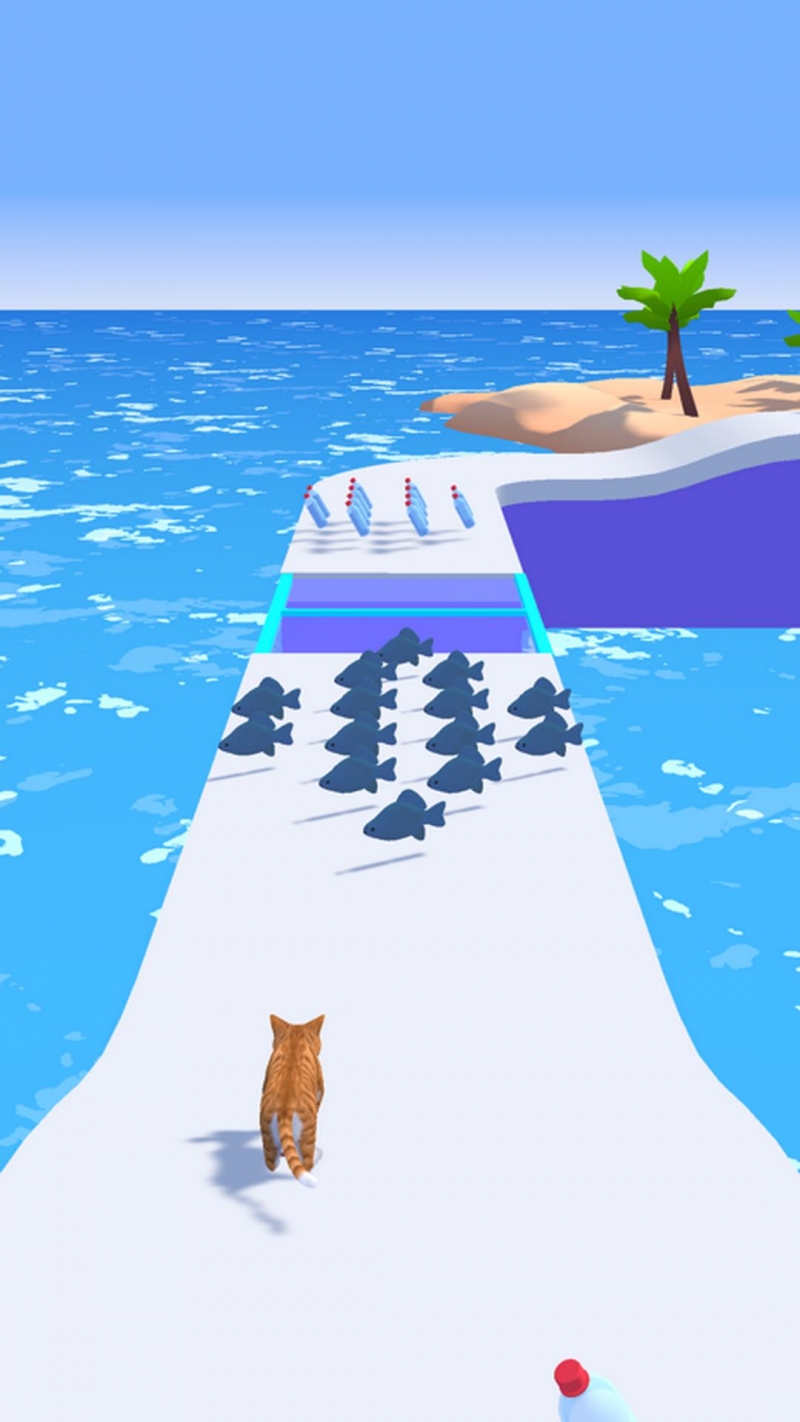 驯猫师